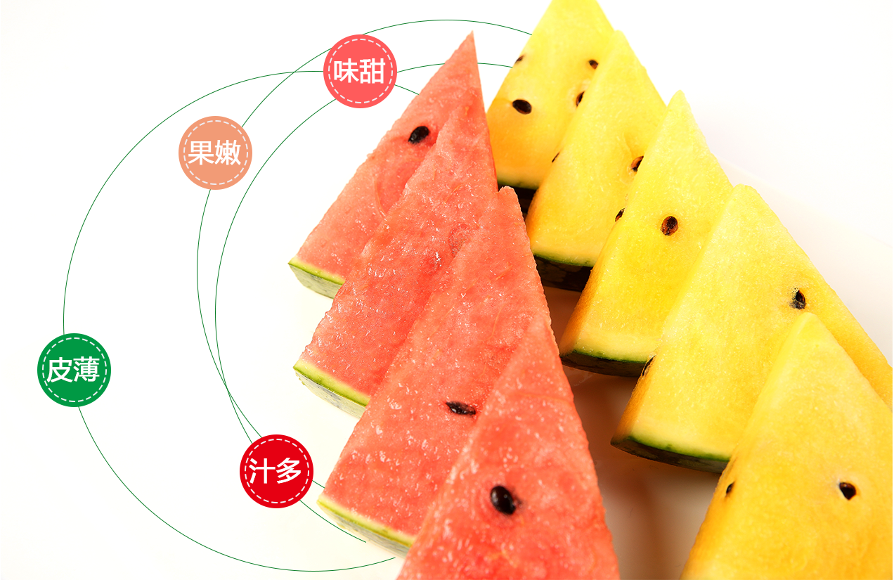 1556507449523254.png 郭倆好.png